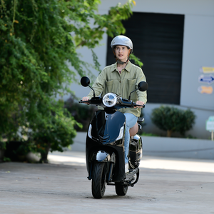 <span class=keywords><strong>Scooter</strong></span> Elettrico a Due Ruote 2025 <span class=keywords><strong>Vintage</strong></span> ad Alta Velocità 55km/h 1500W con Motore Brushless in Lega di Alluminio e Batteria al Litio Rimovibile - Product Image 1