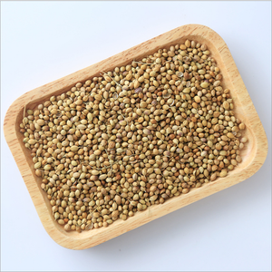 Suministro a granel de semillas de cilantro orgánicas Premium - Product Image 4