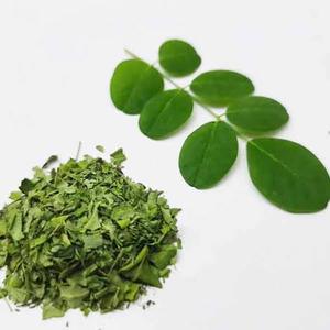 Poudre de feuilles de Moringa naturelle de qualité alimentaire, extrait végétal séché pour une alimentation et une nutrition saines, riche en vitamines - Product Image 4