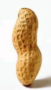 Top Grade Blanched <strong>Peanuts</strong> in Bulk Natural Organic Raw <strong>Peanut</strong> <strong>Kernels</strong> for Snacks Dried Style-Wholesale <strong>Java</strong> <strong>50</strong>/<strong>60</strong> <strong>Peanut</strong> <strong>Kernels</strong> - Product Image 5