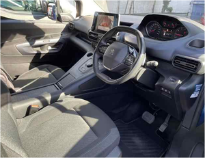 Abbastanza usato ordinatamente 2020 fascino PEU GE OT RIFTER - Product Image 6