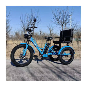 Triciclo de Pasajeros con Motor Eléctrico de Alta Potencia Disponible para Compras a Gran Escala con Suministro Constante - Product Image 5