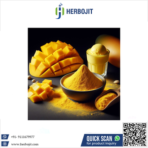 Poudre de jus de mangue séchée par pulvérisation de qualité supérieure, marque internationale Herbojit, la plus populaire, de qualité alimentaire, fabriquée en Inde, disponible à bas prix - Product Image 6