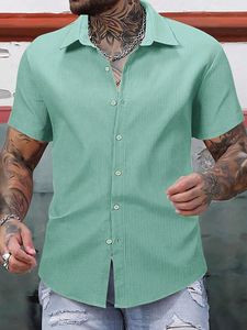 Camisa hawaiana holgada de manga corta a rayas de lino y algodón con cuello de pie y estampado étnico para hombre de verano personalizada - Product Image 5
