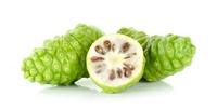 Huile de graines de noni