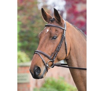 Raised Cavesson Brida de caballo de cuero genuino Fabricante Brida de caballo de cuero genuino colorido de lujo en la India - Product Image 1