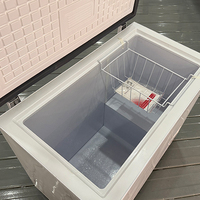 Congélateur horizontal de haute qualité 200L pour viande et poisson, mini congélateur coffre à refroidissement direct pour la maison
