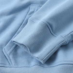 Vente en gros de sweats à capuche biologiques vierges de haute qualité pour hommes pull à capuche en coton unisexe sweats à capuche pour hommes unis prix de vente - Product Image 5