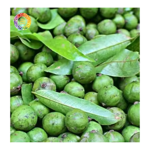 Dracontomelon (Fruta Ácida Verde) Congelado IQF Entero para Servicios de Alimentación y Procesamiento, Dracontomelon Congelado IQF para Exportación - Product Image 5