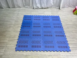 Tapete de espuma EVA grueso de 10mm de alta calidad, patrón de rompecabezas Simple en diseño cuadrado para niños, juegos en casa y al aire libre - Product Image 2