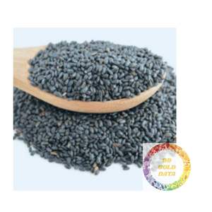 Graines de chia noires pures directes d'usine Ingrédient brut naturel pour la fabrication et l'emballage alimentaires - Product Image 6