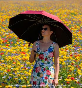 Paraguas Mango Largo Semiautomático, Varillas Reforzadas, Plegable, Resistente a la Lluvia y al Sol, al Viento, Multicolor, Premium, Unisex - Product Image 4