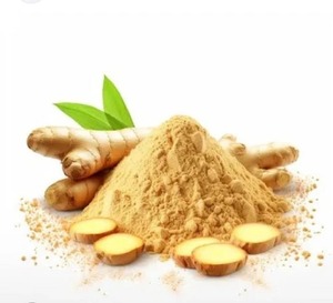 Poudre d'extrait de gingembre sauvage Supplément naturel pour la santé digestive Soutien respiratoire et bien-être du système immunitaire - Product Image 2