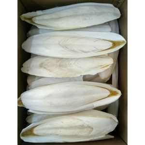 Os de seiche séché de haute qualité alimentation pour animaux nourriture pour oiseaux nourriture pour animaux de compagnie sac disponible prix du Carton competitif-Vdelta/Ms. Thao + 84 - Product Image 4