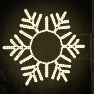 2024 Wholesale 2D Christmas led snowflake motif lights supplier