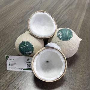 Coco Entero Pulido - Cáscara Limpia, Grado de Exportación de Vietnam - Product Image 4