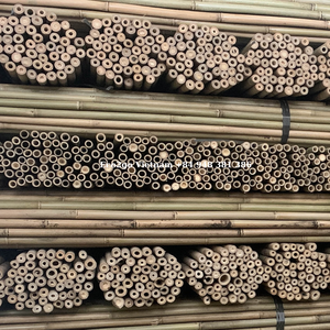 Eco2go Vietnam Piquets en bambou naturel réutilisables avec feuilles pour la décoration de jardin Haute qualité et abordable - Product Image 6