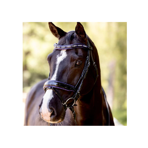 Approvisionnement en vrac d'usine indienne Purple Rain Limited Edition Snaffle Bridle Black Patent Intelligent Horse Product à vendre - Product Image 1