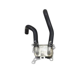 INTERCAMBIADOR DE AGUA/AZUOL NISSAN Serie Juke (F16) 213055917R HRA0 Gasolina 1000 (19>) - Product Image 2
