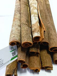Dalchini/ Kaneel/Canela entera de Vietnam-Altos estándares, costos de exportación competitivos (WA:+ 84362512699) - Product Image 4