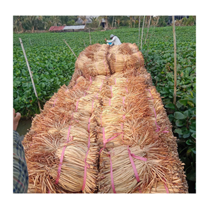 Jacinto de agua seco de fibra natural para manualidades multiusos - Product Image 1