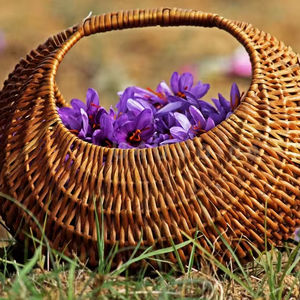 Safran mongra séché du Cachemire frais de qualité supérieure Kesar Carthame cru d'Inde séché de manière experte - Product Image 1