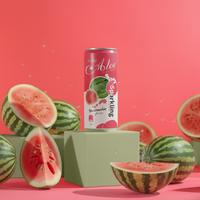 Sprankelende Watermeloensap 330ml blik OEM/ODM groothandel koolzuurhoudende verfrissende echte fruitsoda kant-en-klaar zomerdrank