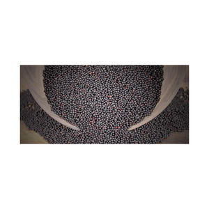 Semillas de canola a granel listas para exportación para uso agrícola y en la fabricación de alimentos - Product Image 1