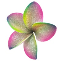 Meilleures ventes : Accessoires de mode artisanaux Sunne Tropical, brosse spéciale en mousse EVA de haute qualité, fleur de frangipanier hawaïenne