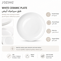 Assiette creuse en céramique de 10 pouces, motif lune, en porcelaine blanche minimaliste, compatible micro-ondes, qualité supérieure
