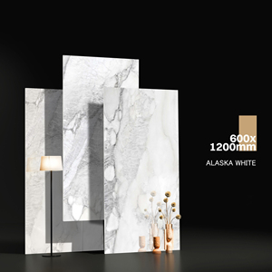 2020 Nouvelle collection Fabrication de céramique et de porcelaine la plus vendue en Inde pour un usage commercial. - Product Image 1