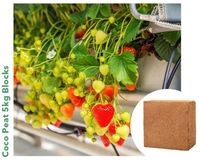 Bloc de 5 kg de tourteaux de coco en gros, directement de l'usine, pour les acheteurs