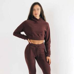 Haut court à capuche pour femme en coton uni pour l'hiver avec logo personnalisé sur le devant, tricot athlétique à manches longues pour la salle de sport et le fitness - Product Image 1