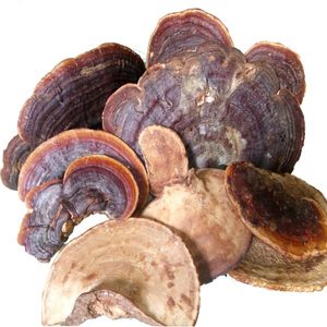 Wholesale Top Quality Products Organic Reishi <b>Mushroom</b> Slices AKINA - Product Image 2