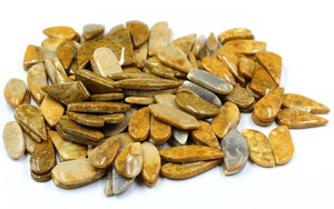 Corail naturel indonésien Cabochon en vrac Pierres précieuses Paire de taille libre pour la fabrication de bijoux Pierres précieuses de haute qualité - Product Image 2