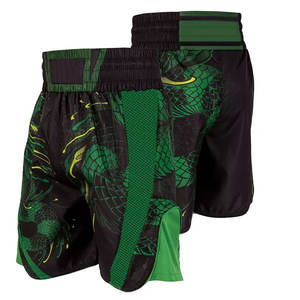 2023 diseño superior personalizado MMA pantalones cortos de alta calidad de nailon poliéster Spandex mejor diseño pantalones cortos de boxeo lavado ropa de artes marciales - Product Image 6