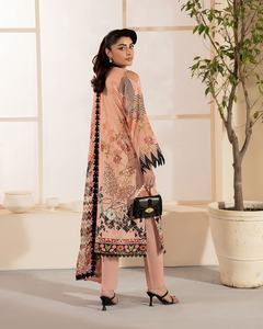 Nice Designer Ethnic Pakistanais Femmes Costumes par AJM Trade House 1056 - Product Image 6