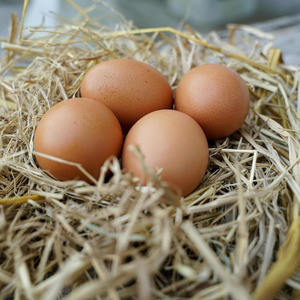 Wholesale Organic Farm Fresh Table <b>Eggs</b> High Quality Brown and White Chicken <b>Eggs</b> - Product Image 2