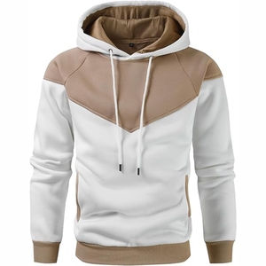 Sweat-shirts à capuche pour homme de haute qualité, unis, pour l'hiver, manches longues, imperméables, anti-boulochage, respirants, 100% coton, poids lourd - Product Image 2