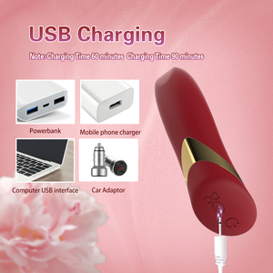 Vibrateur en silicone Young Will Lipstick, jouet sexuel féminin, mode rechargeable, mini-vibrateur, stimulation érotique - Product Image 2