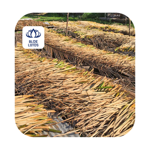 Matière première de fibre de jacinthe d'eau séchée pour diverses applications - Product Image 5