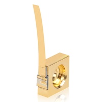 Paquet de diode laser à monture C à lumière rouge optique 1W avec microlentilles FAC 660nm pour la découpe et la gravure du bois