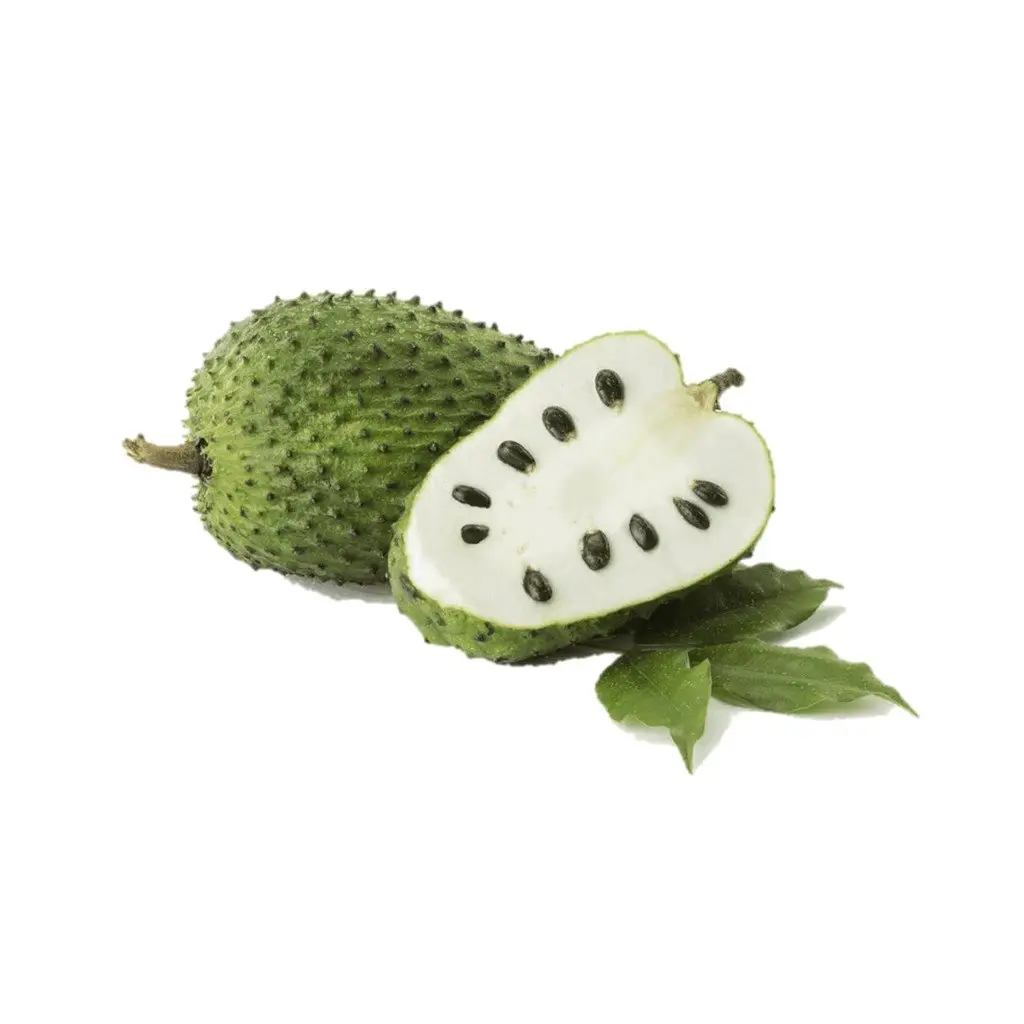 HIGH QUALITY FROZEN SOURSOP WITH GOOD PRICE FROM VIETNAMESE SUPPLIER IN 2024