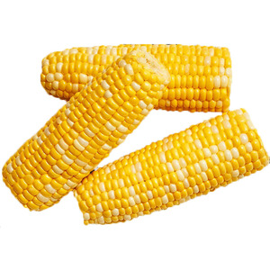 Maíz amarillo orgánico de alta calidad a precio barato, maíz dulce congelado IQF sin OMG, alimentación animal fresca seca, suministro a granel al por mayor - Product Image 5