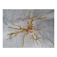 Aquarium Fish Tank Aménagement Paysager Coral Driftwood Rhododendron Root Twisted Vine à bas prix