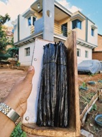 Vanille Récoltée 100% Naturelle Séchée au Soleil Grains de Vanille Planifolia Broyés 22-28cm 1kg Origine Madagascar Région SAVA