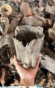 ตอไม้ลอยน้ำธรรมชาติที่ไม่เหมือนใครจากประเทศไทย - Product Image 5