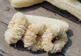 Sustainable <b>Loofah</b> Sponges - Order in Bulk for the Best Eco-Friendly Bath Experience - Product Image 5