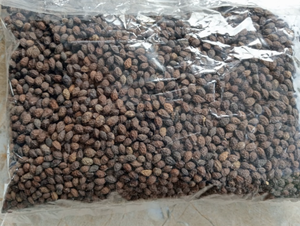 ชาสมุนไพรดอกบัวสีน้ำเงินจากเมล็ดมะละกอแห้งและเมล็ดดำพร้อมมะละกอสด - Product Image 6