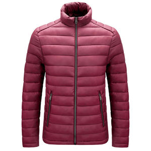Breathable High Quality OEM Service Custom Made <b>Hooded</b> Men Winter Puffer <b>Jacket</b> Thin Stand Collar Customized Colors Front - Product Image 2